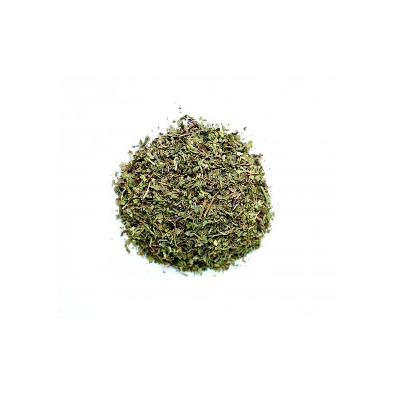 Mint